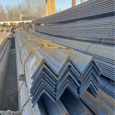 How many types of angle steels are there